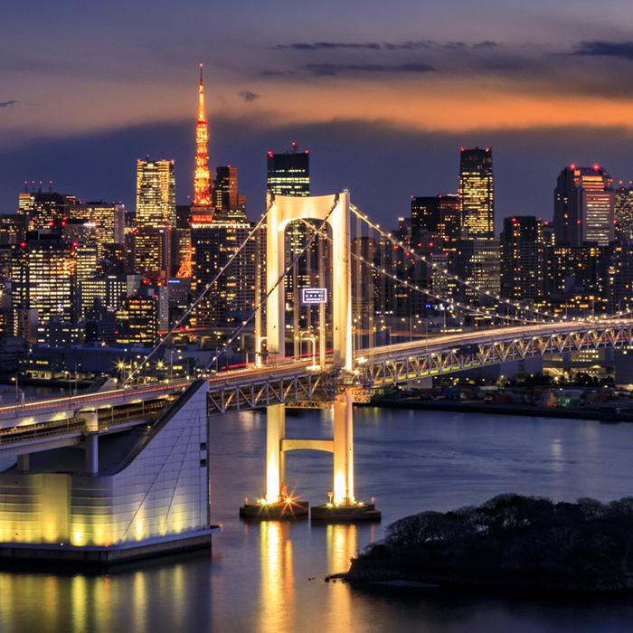 Tokyo Skyline